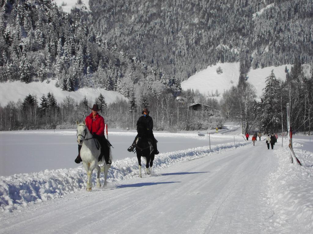 Bergheim Komfort Ferienwohnungen Walchsee Eksteriør bilde